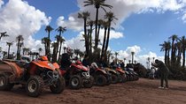 2 Hours QUAD BIKING in the Palm Oasis (Palmerie) MARRAKECH 