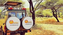 5 days Safari to Tarangire, Ngorongoro, Serengeti and Lake Manyara