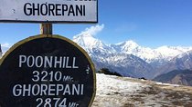 Ghorepani-Poonhill Trek 5 days - Best Short Trek in Annapurna Massif 