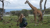 3 Days Nairobi National Park,Lake Naivasha &Lake Nakuru National Park 