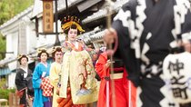 Chartered Private Tour - Tokyo to Nikko, Toshogu, Edo Wonderland 