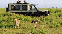3 Day Best Camping Safari in Tanzania Parks
