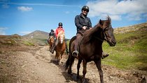 Viking Horse Riding and Golden Circle Tour from Reykjavik