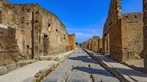 Private Pompeii Day Trip From Rome by Fast Train to Naples and Car Service 