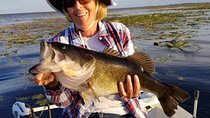 Lake Okeechobee Fishing Trips Near Fort Pierce Florida