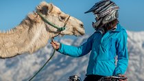 Camel and Quad Biking Tour from Marrakech