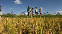 Explore Ubud with Electric Bike