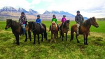 Family Friendly Horse Riding Tour in Skagafjörður