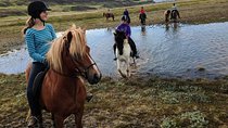 Horse Riding Tour to the Glacier River Delta with Waterfall