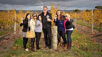 McLaren Vale Winery Small Group Tour with Wine Tasting and Lunch