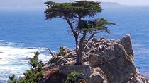 Private Tour to Monterey, Carmel, 17-Mile Drive, Pebble Beach