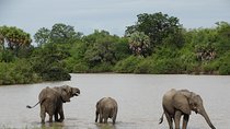 5 Days Safari to Nyerere NP (Selous GR) & Mikumi NP - Camping Safari