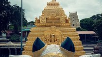 Srisailam Temple full day excursion tour