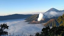 Private or Shared Epic Sunrise Bromo Volcano Tour - From Malang