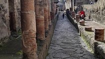 Private Tour Of Herculaneum & Mount Vesuvius