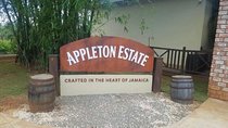 Appleton Estate Rum Private Tour