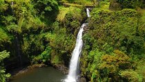Road To Hana Black Sand Beach Waterfalls & Turtles Tour
