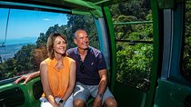 Skyrail Rainforest Cableway Day Trip from Palm Cove