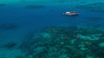 Ocean Free 25 guest Great Barrier Reef & visit Green Island Tour