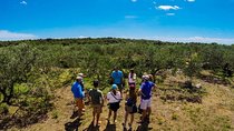 Olive Oil Tour of Solta Island with Lunch
