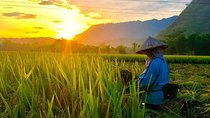 Mai Chau Day Tour From Hanoi - Amazing North Vietnam