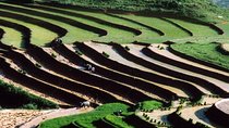 2-Days 3-Nights Sapa Trek with Night Train from Hanoi