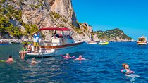 Small Group Boat Day Excursion to Capri Island from Sorrento