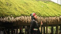 2-day Trekking in Ha Giang - Overnight in homestay