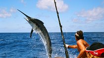 Full Day Sport Fishing. Private Tour from San Jose