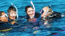 Discover Scuba Diving Experience