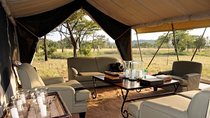 5 Days Tanzania Luxury Safari Tarangire, Serengeti, Ngorongoro