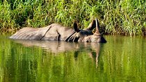 2 Nights Chitwan Luxury Tour from Kathmandu or Pokhara