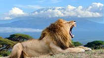 3 Day Tour to Amboseli Tsavo West & East to Mombasa/Diani/Nairobi