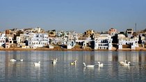 From Jaipur: Pushkar Self-Guided Day Trip