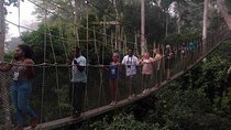 Bonsu Aboretum Canopy, Cocoa Research & Aburi Gardens