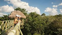 Cancun Combo Tour: Zipline and Off-Road Buggy Adventure