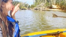 Dolphin & Manatee Kayaking Tour in Orlando Area