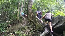 Small-Group Jungle Hiking Excursion in Khao Phra Teaw Park