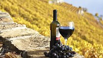 HALF-DAY Tour to Chianti Wine Region: CHIANTI COLORS & FLAVORS