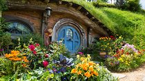 Auckland to Rotorua via Hobbiton Movie Set One-Way Private Tour