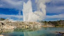 Auckland to Rotorua Private Tour
