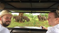 Udawalawe safari with Elephant transit home 
