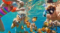 Bali Snorkeling at Blue Lagoon with Transport and Lunch