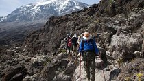 Mount Kilimanjaro Day Trip Hiking from Arusha or Moshi