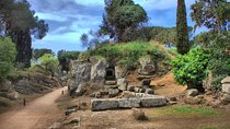 Ancient Etruscan Civilization Tour from Rome 