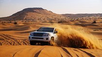 Dubai Desert Safari For Group 1 to 14 people