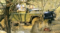  Cape Town Private, Aquila Safari Full Day Tour 