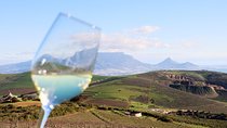Durbanville Valley Winelands Full Day Tour with Private Transfer
