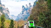 2 Days Private Zhangjiajie National Forest Park In-depth Tour (Avatar Mountain)