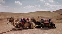 Desert Agafay & Atlas Mountains Day Trip from Marrakech (Min.2 p)